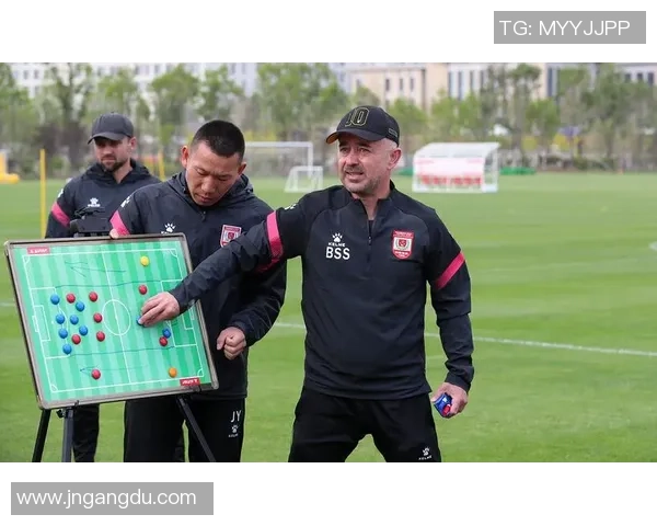 深入分析杭州飞盘队快攻战术的独特魅力与实战应用